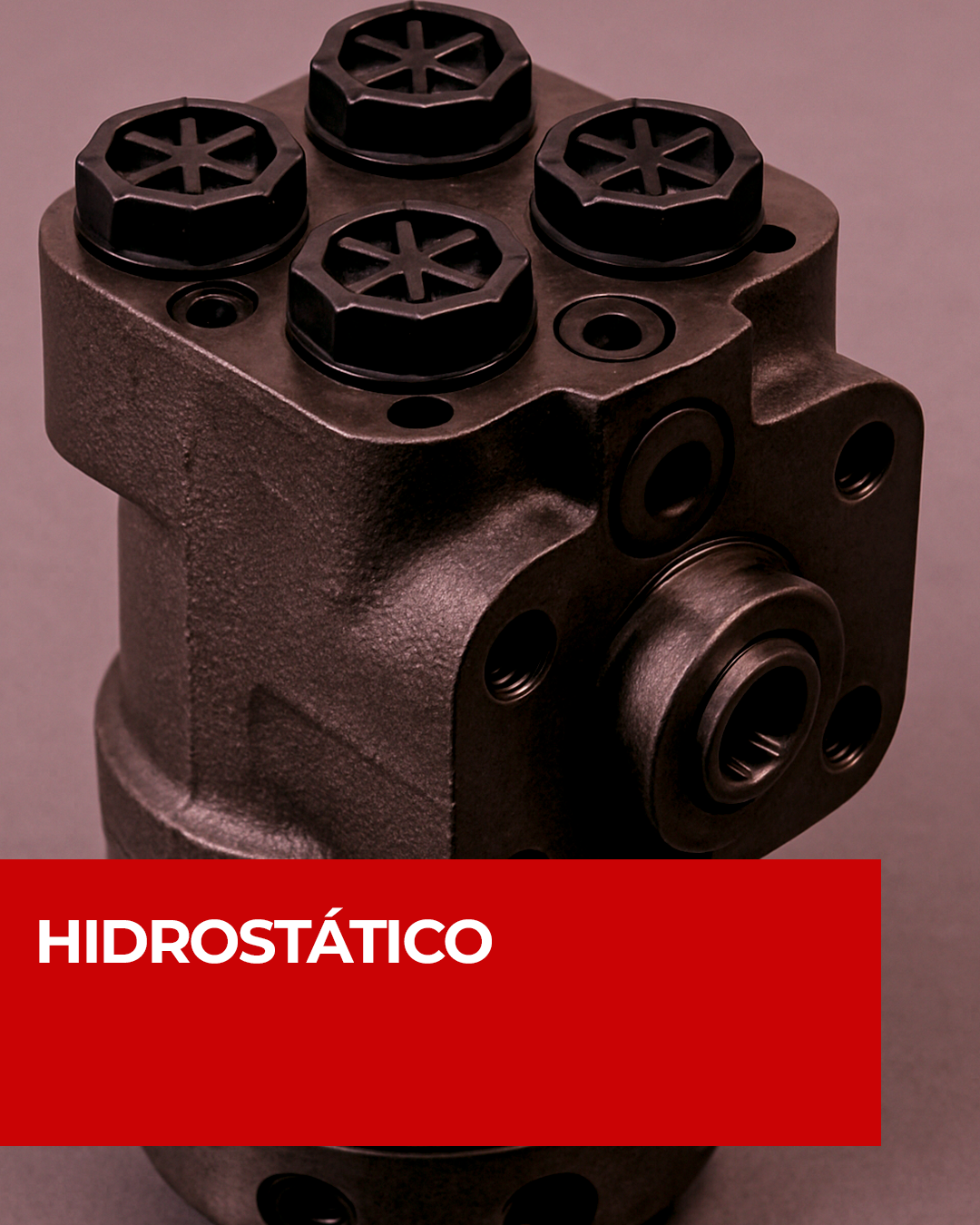 hidrostatico